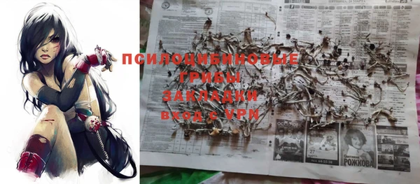 стафф Абдулино