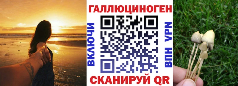 Галлюциногенные грибы Psilocybine cubensis  Мирный 